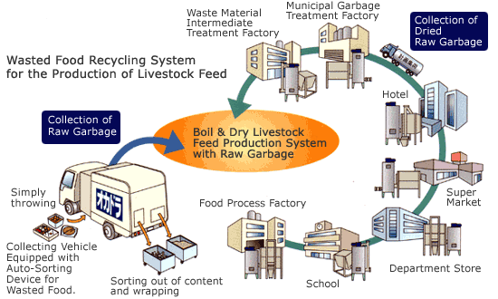 Boil & Dry Livestock Feed Production System with Raw Garbage